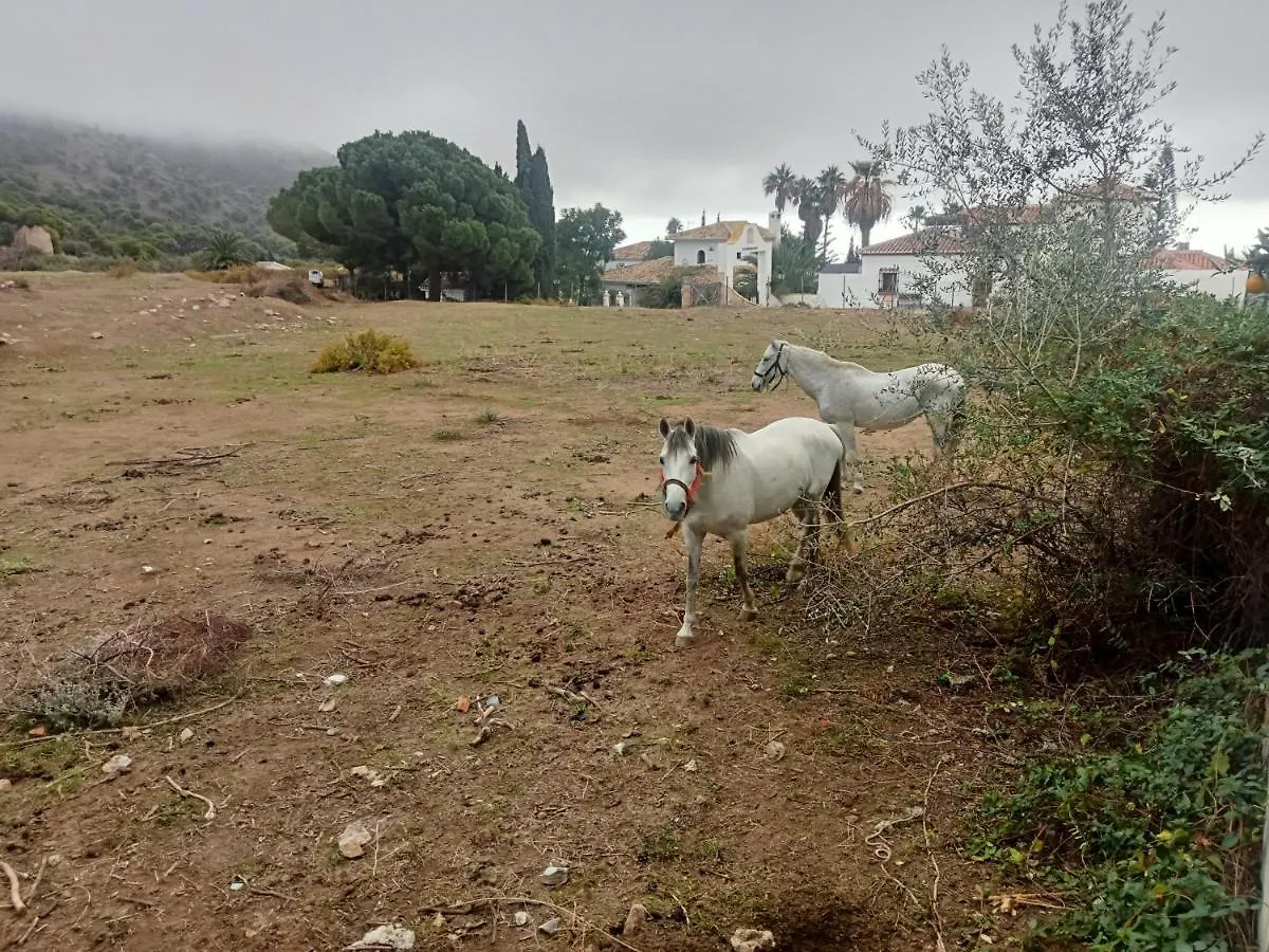 Apartamento Casa Blanquita Mijas